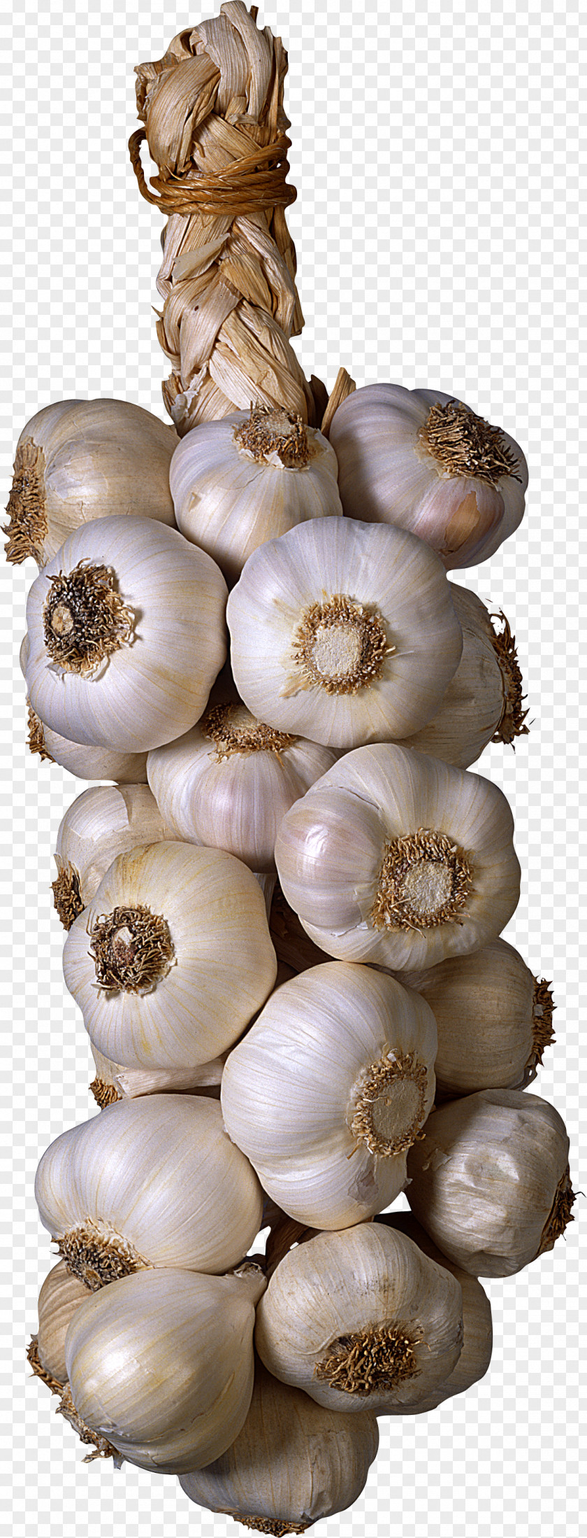 Garlic Vegetable Seasoning Clip Art PNG