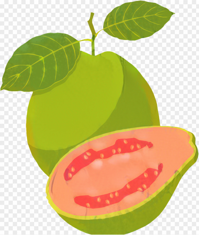 Guava Tree Apple PNG