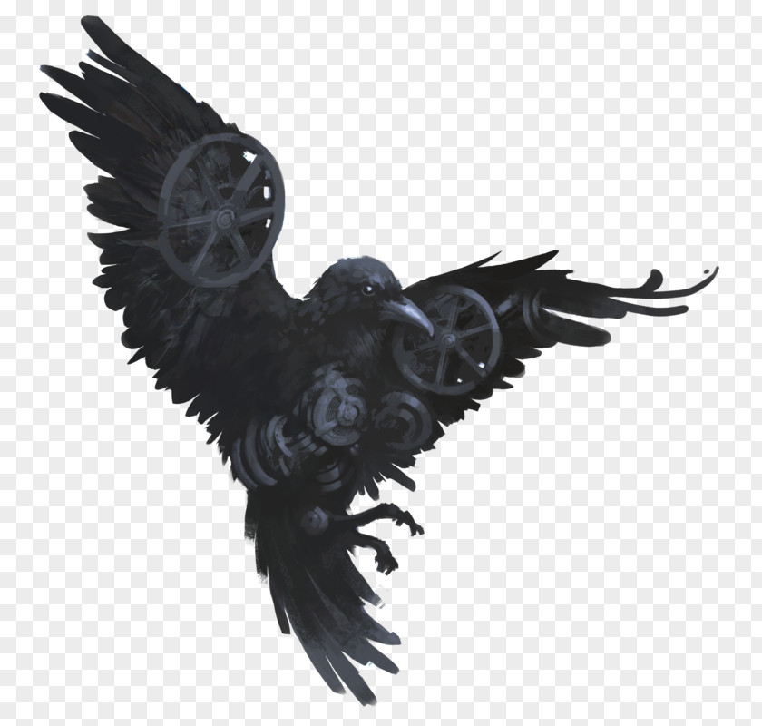 Raven Common Drawing Bird YouTube PNG