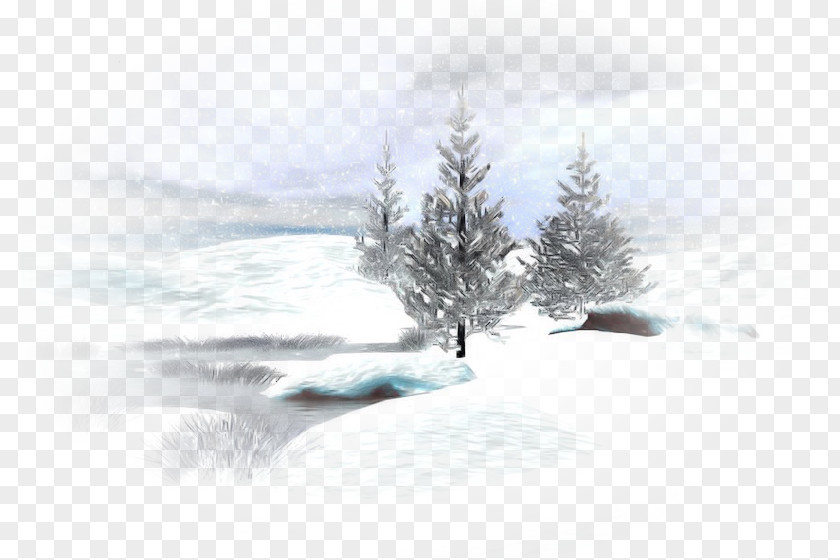 Wind Evergreen Family Tree Background PNG