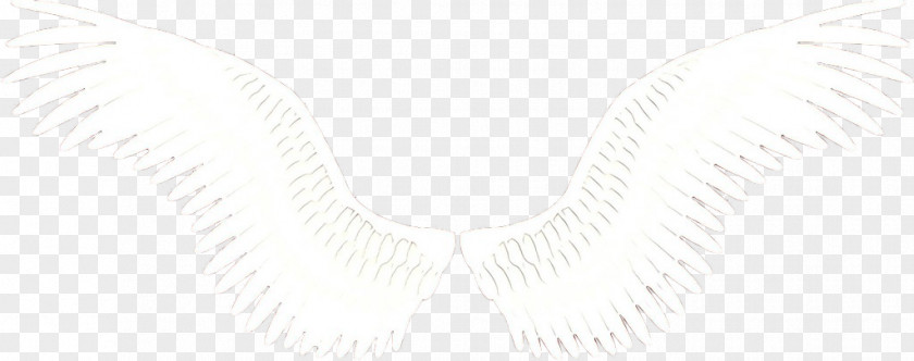 Wing Chain White Necklace Line Fashion Accessory Jewellery PNG