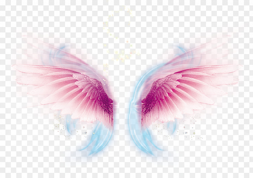 Wing Computer File PNG