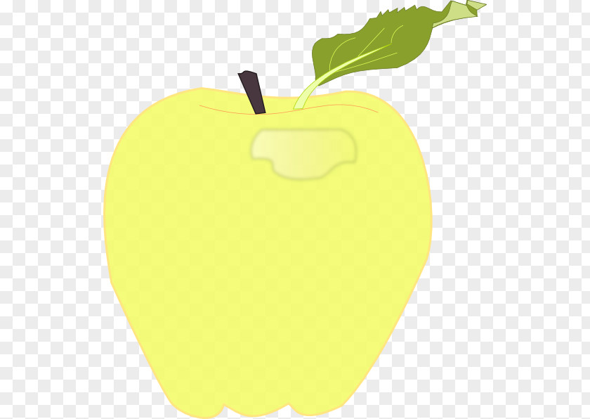 Apple Yellow Green Red Color PNG