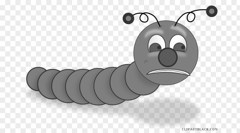 Baby Luna Moth Caterpillar Silkworm Clip Art Vector Graphics Free Content PNG