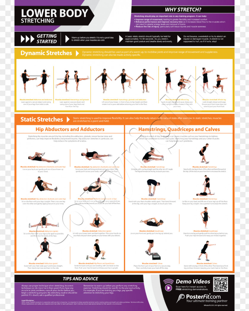 Catalog Charts Stretching Torso Weight Training Exercise Cooling Down PNG