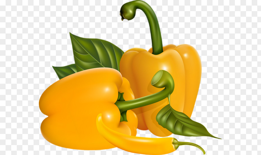 Chili Pepper Habanero Serrano Cayenne Yellow Bell PNG