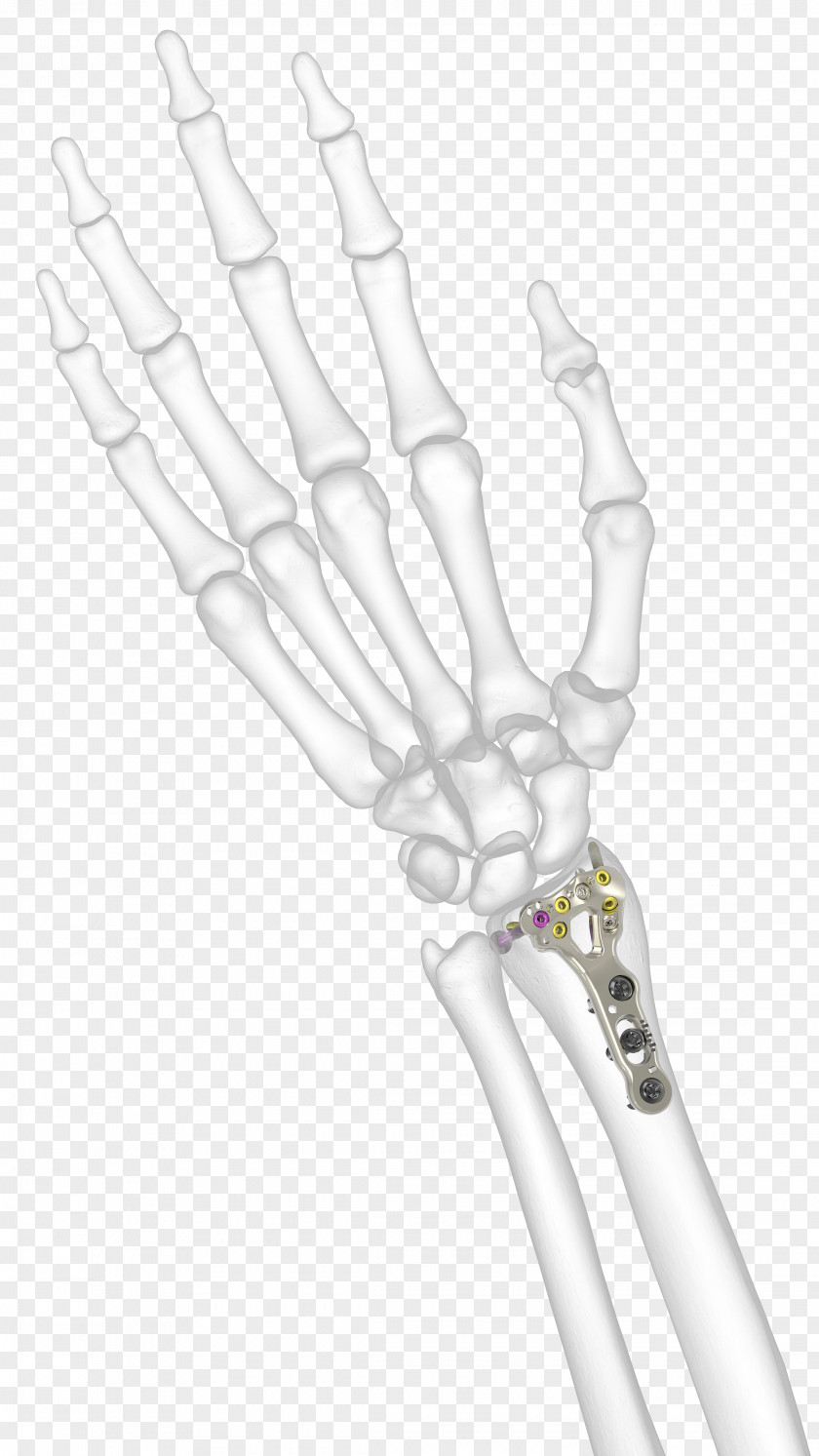 Design Thumb Hand Model PNG