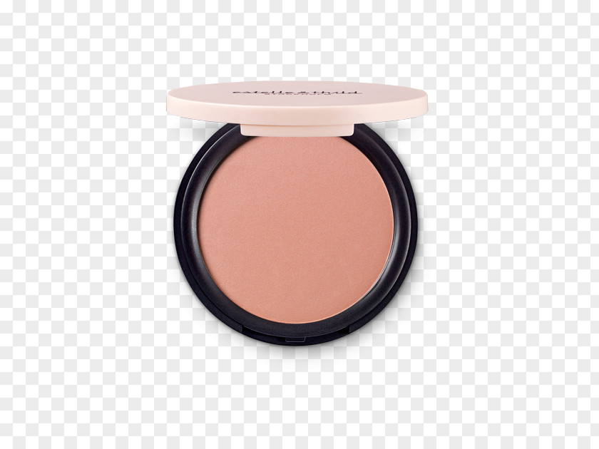 Face Powder Rouge Cosmetics Lotion Foundation PNG