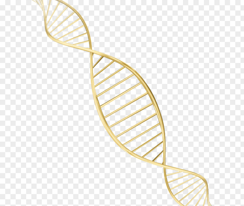 Gold Spiral Material Storm DNA Face Gene Color PNG