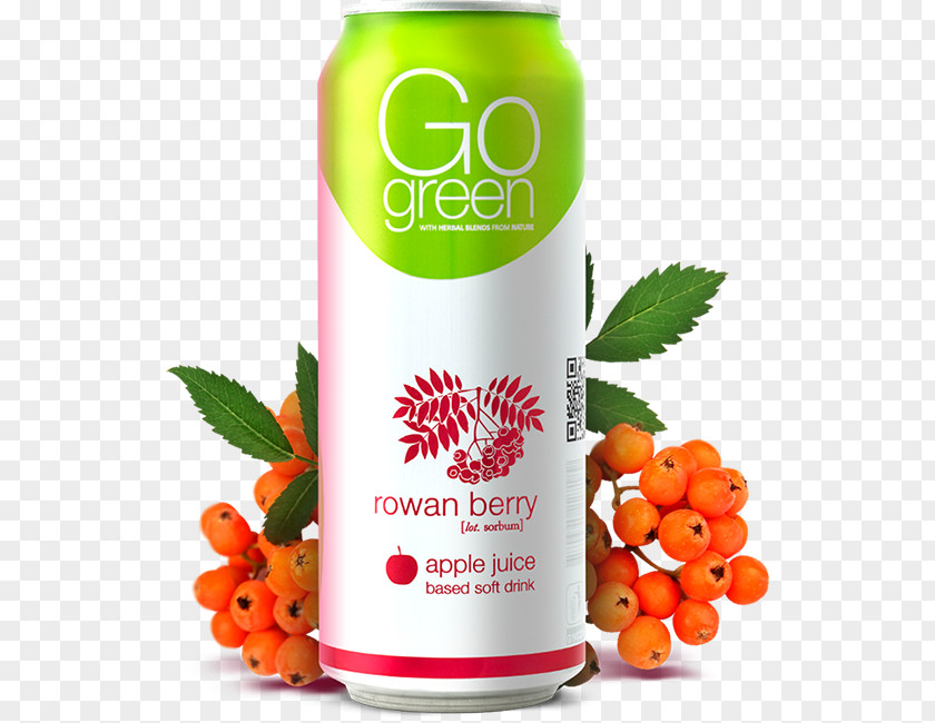 Juice Apple Gubernija Drink Gaivusis Gėrimas PNG