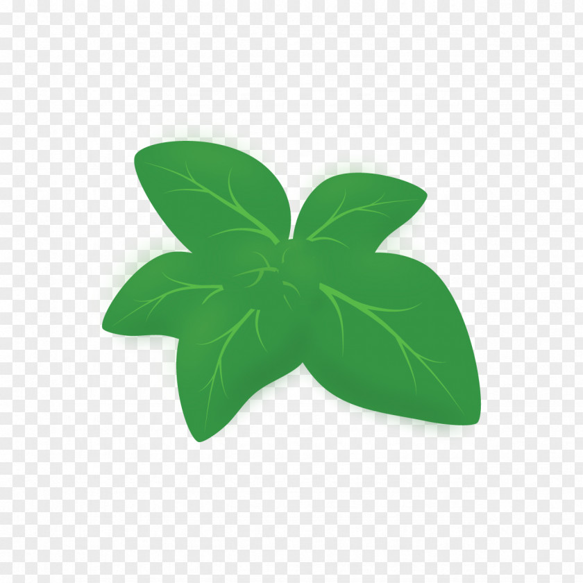 Leaf Green PNG