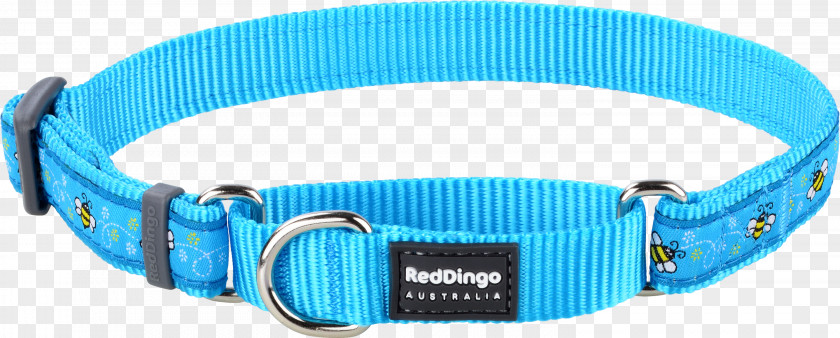 Red Collar Dog Dingo Martingale Leash PNG