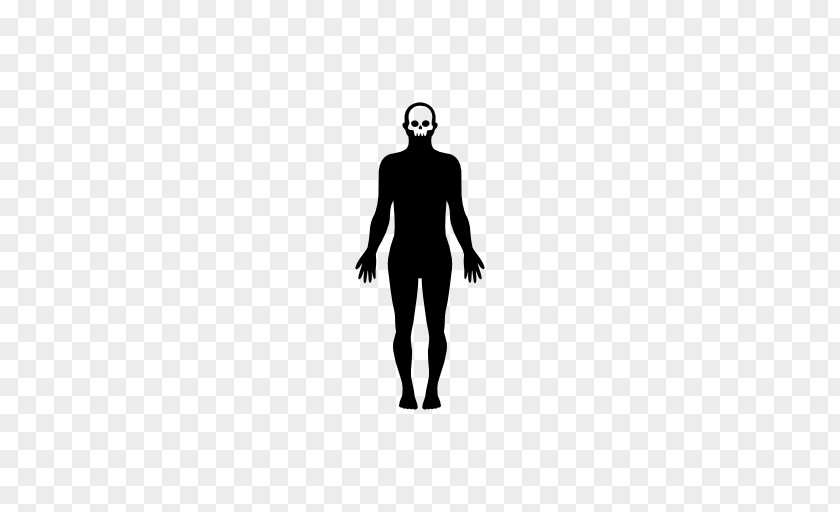 Shape Human Body Homo Sapiens PNG