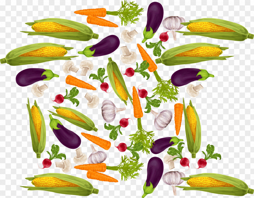 Vector Vegetables Vegetarian Cuisine Root Carrot PNG
