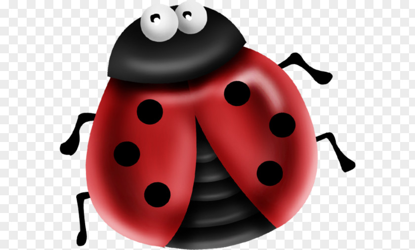 Beetle Ladybug Ladybird PNG