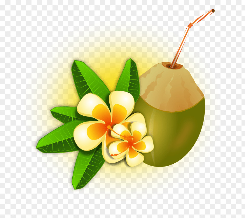 Cocktail Coconut Water Cuisine Of Hawaii Milk PNG