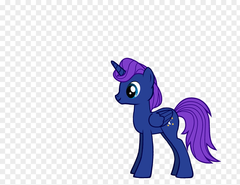 Horse My Little Pony: Friendship Is Magic Fandom Tail PNG