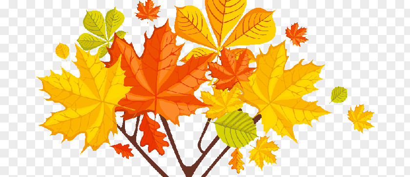 Otontildeo Banner Autumn Image Desktop Wallpaper Floral Design Clip Art PNG