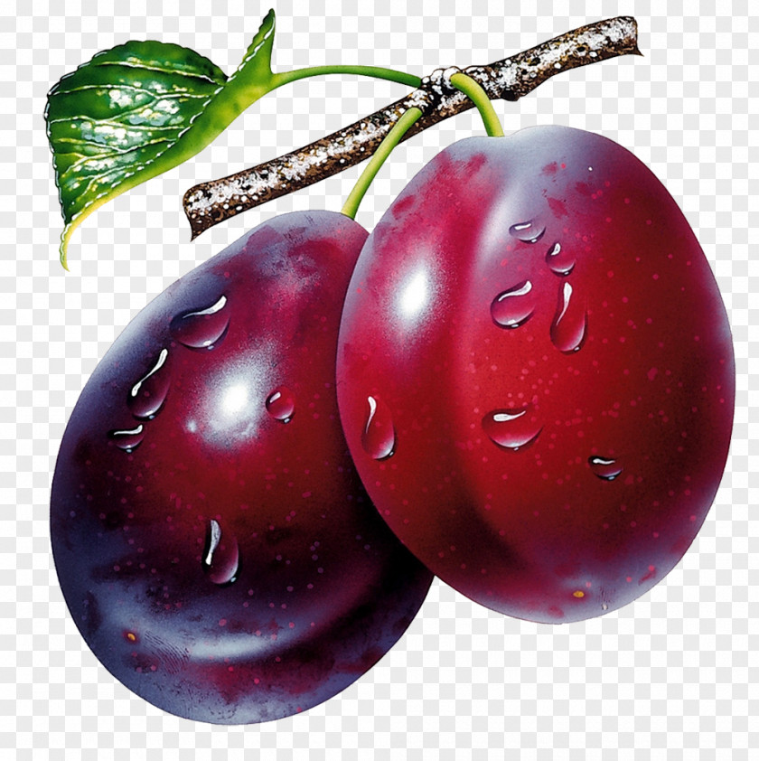 Plum Image Juice Prune Fruit Clip Art PNG