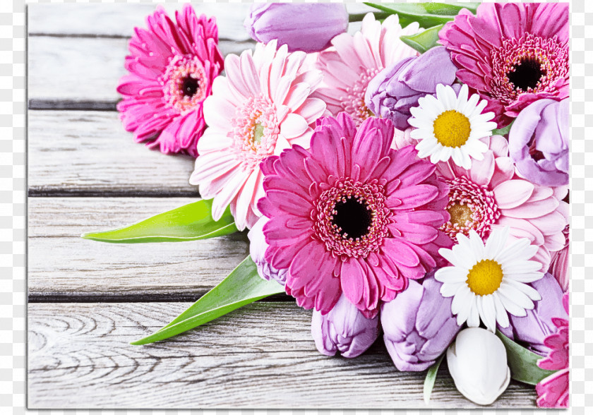 Purple Bouquet Flower Barberton Daisy Gerbera Pink Petal PNG