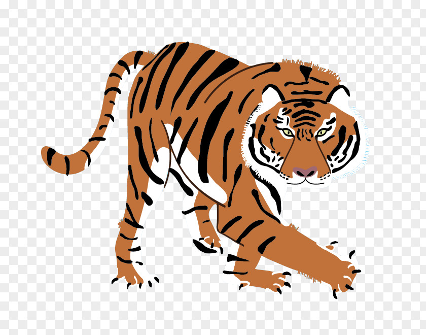 Tiger Pattern Lion Clip Art PNG