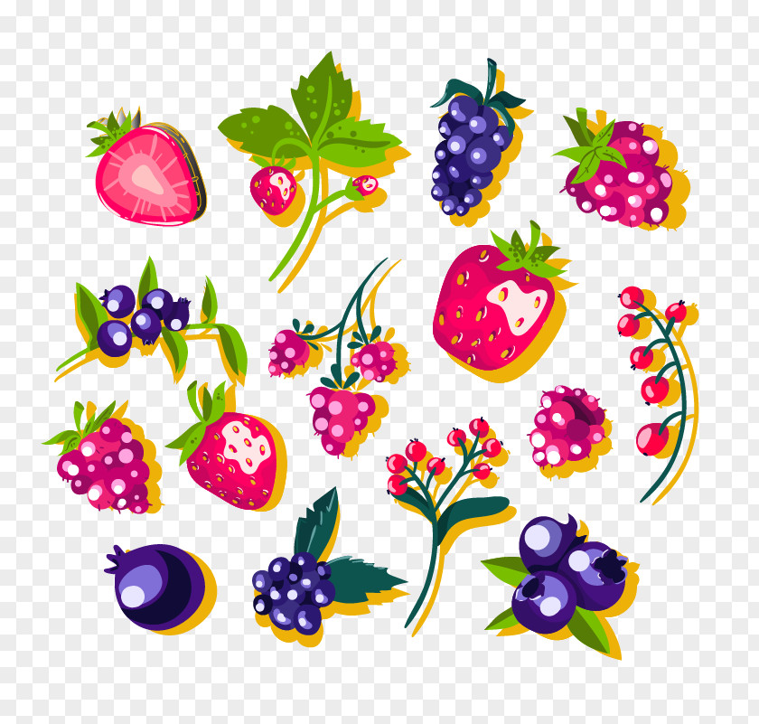 Cartoon Painted Berries Frutti Di Bosco Clip Art PNG