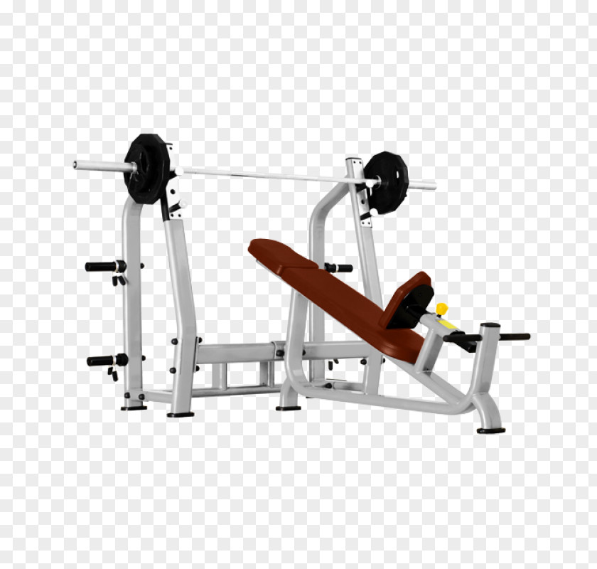 Dumbbell Fitness Centre Bench Price Product PNG
