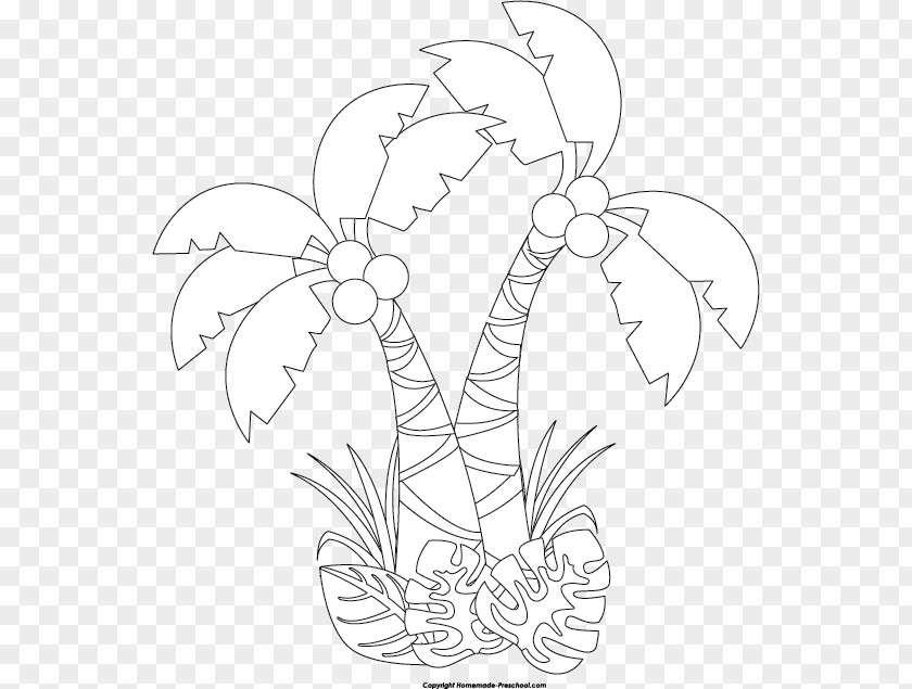 Flower Clip Art Drawing /m/02csf Illustration PNG
