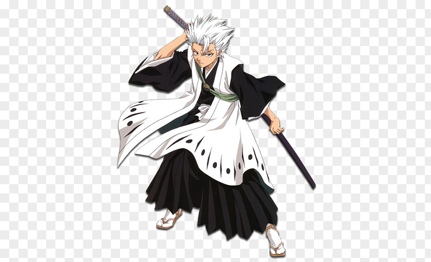 Ichigo Kurosaki Tōshirō Hitsugaya Rangiku Matsumoto Rukia Kuchiki Shunsui Kyōraku PNG