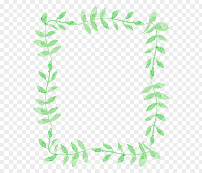 Plant Vascular Leaf Green Font PNG