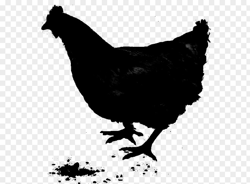 Rooster Chicken As Food Fauna Silhouette PNG