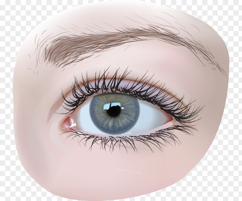 Vector Eye Iris Surgery Clip Art PNG