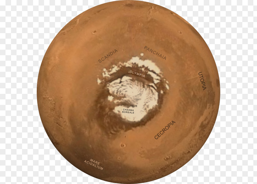 Earth Polar Regions Of Geographical Pole South Mars PNG