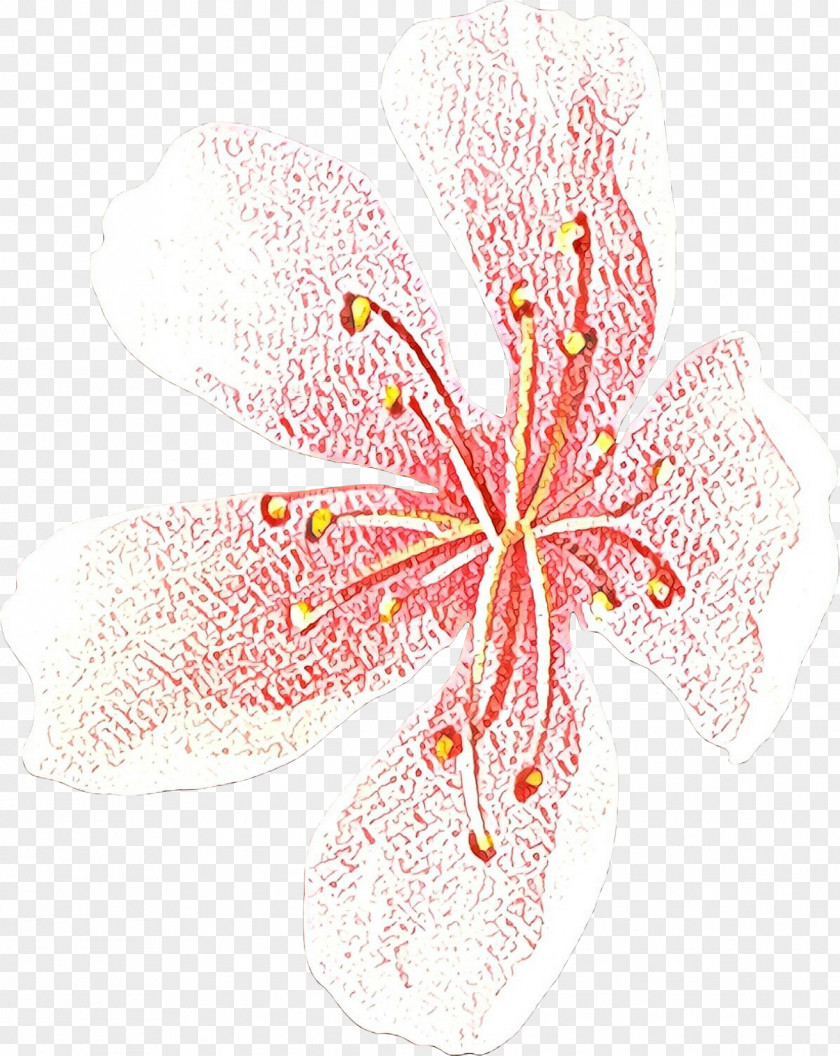 Hibiscus Plant Flowers Background PNG