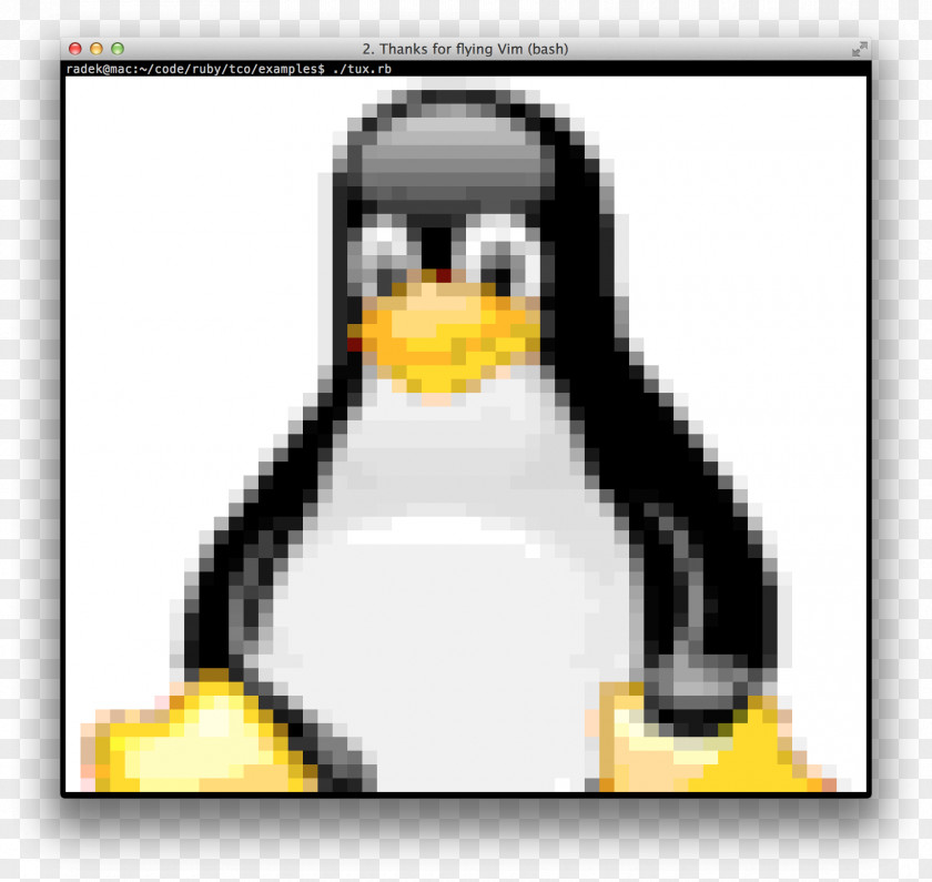 Linux Kernel Tux Unix Distribution PNG