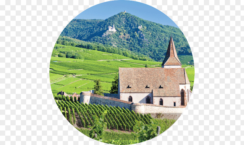 Wine Vosges Alsace Lorraine Colmar PNG