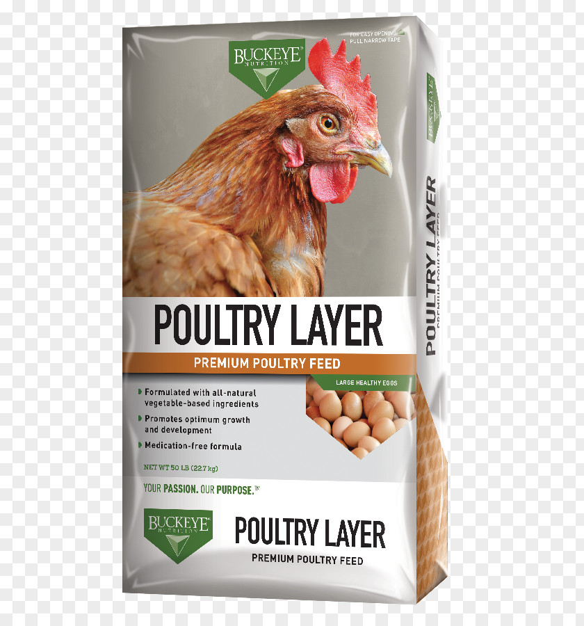 Goat Eat Poultry Feed Buckeye Chicken Animal Crumble PNG