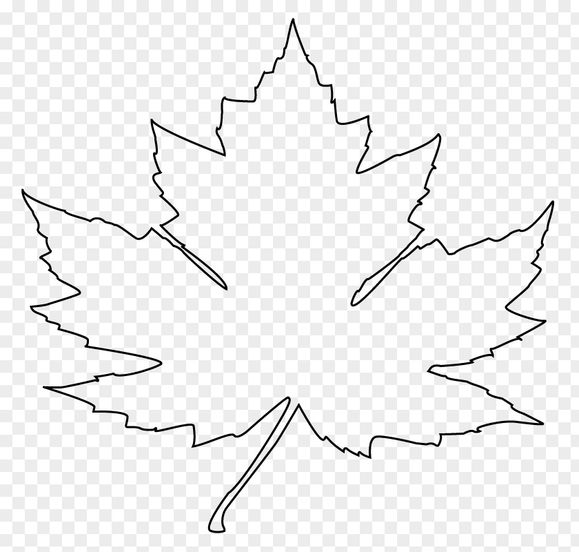Maple Leaf Art White Symmetry Area Angle Pattern PNG