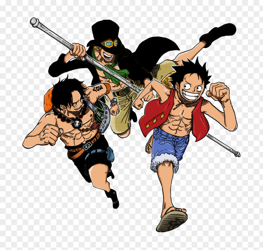 One Piece Monkey D. Luffy Portgas Ace Nami Sabo PNG
