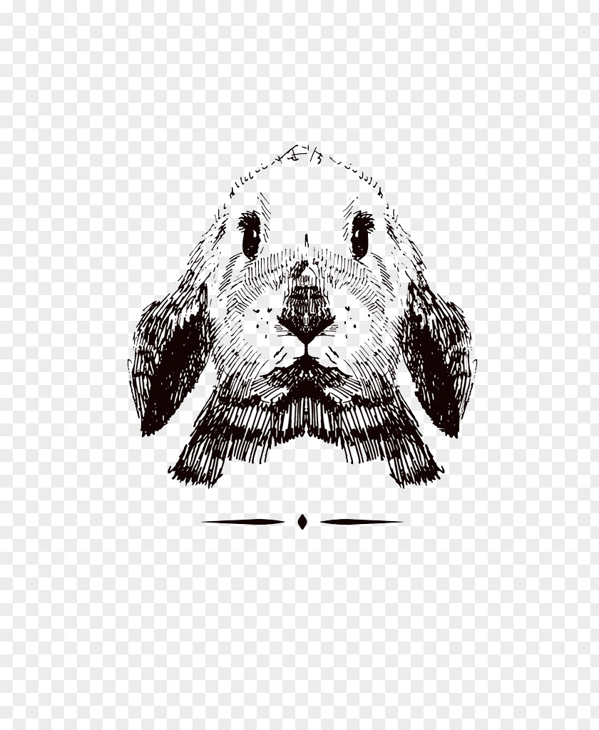 Sketch Rabbit Dalmatian Dog Drawing PNG