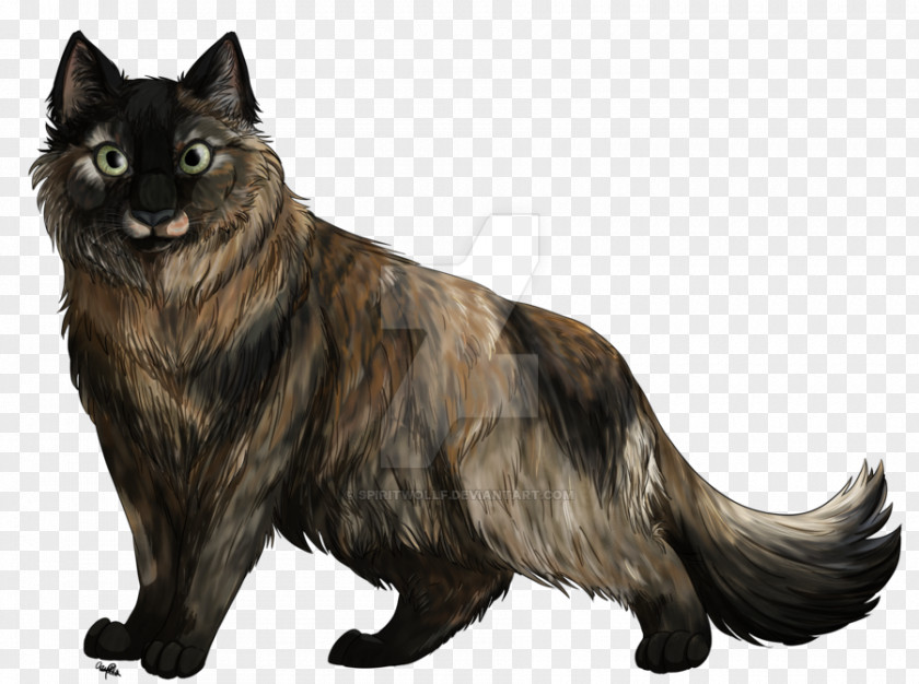 Tortoiseshell Cat Whiskers Dog Breed Fur PNG