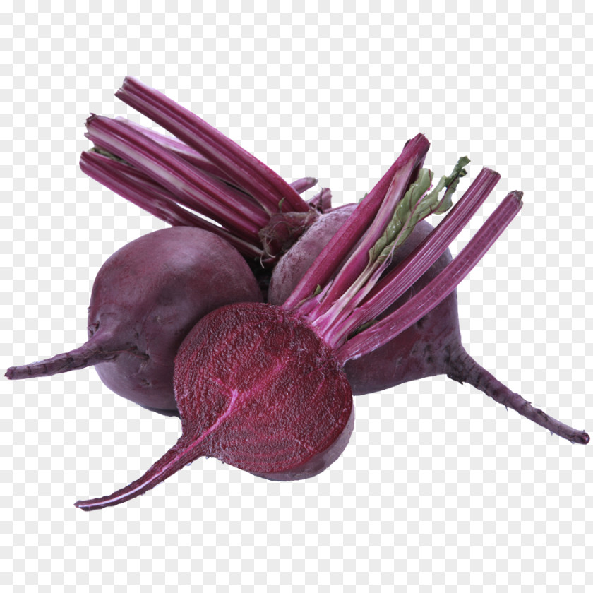 Beet Greens Magenta Beetroot Purple Violet Vegetable PNG