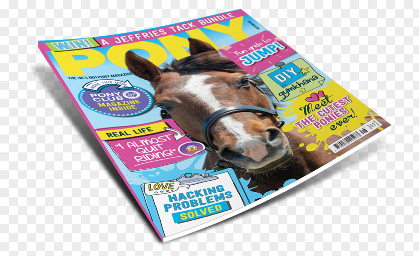 Horse Rosette PONY Magazine Equestrian Canadian PNG