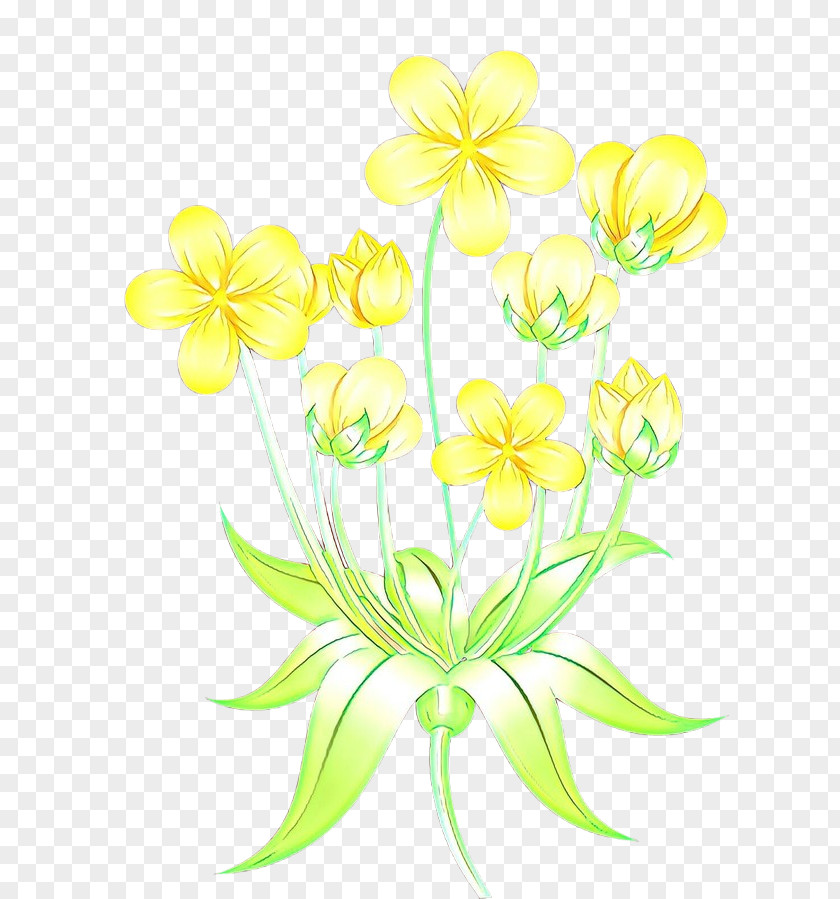 Pedicel Wildflower Flower Yellow Clip Art Plant Petal PNG