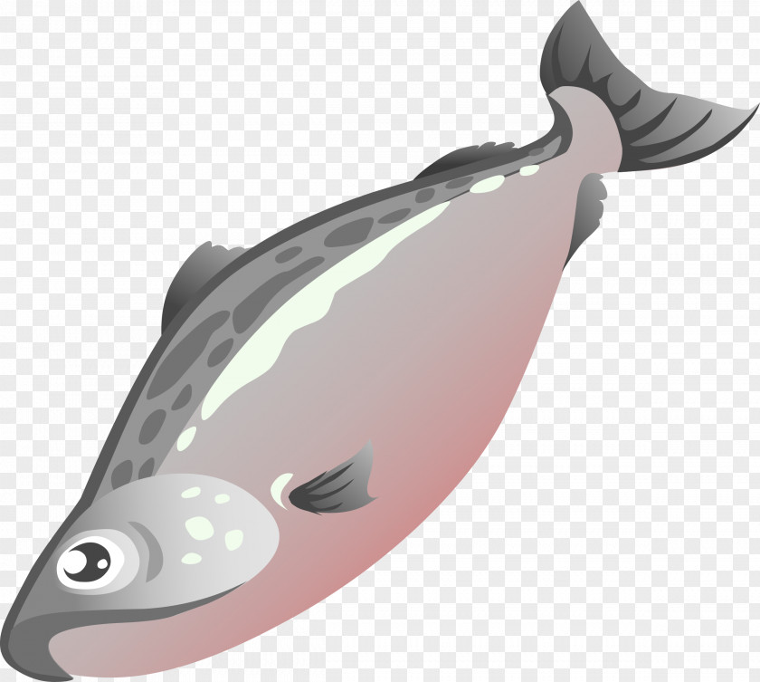Salmon Cliparts Free Content Clip Art PNG