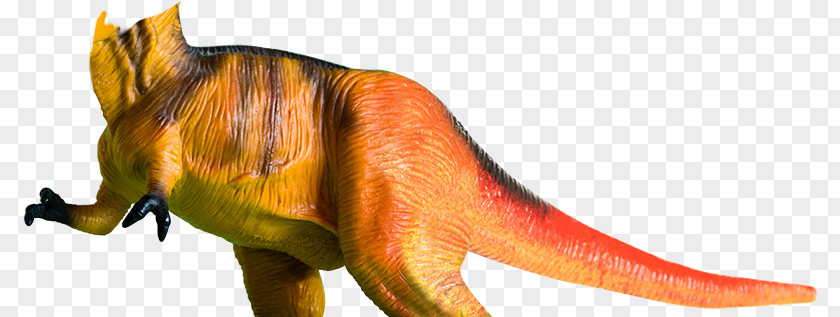 Totally Awesome Tyrannosaurus Question Child Animal PNG