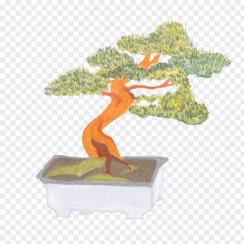 Tree Bonsai Flowerpot PNG