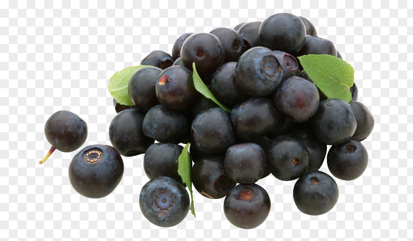 Blueberry Photos Grape Frutti Di Bosco Bilberry PNG