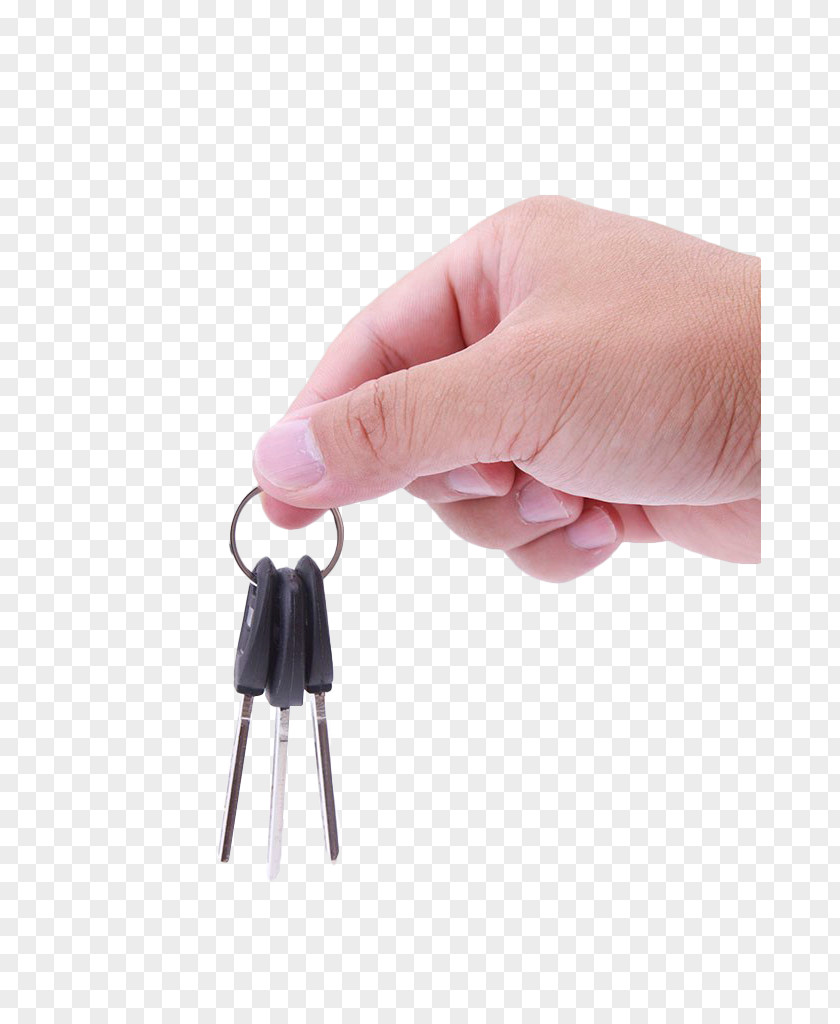 Holding The Keys Key Download PNG