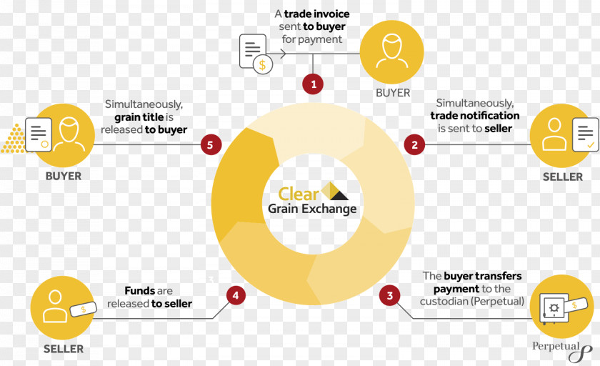 Settlement Trade Custodian Bank Clearing Organization PNG